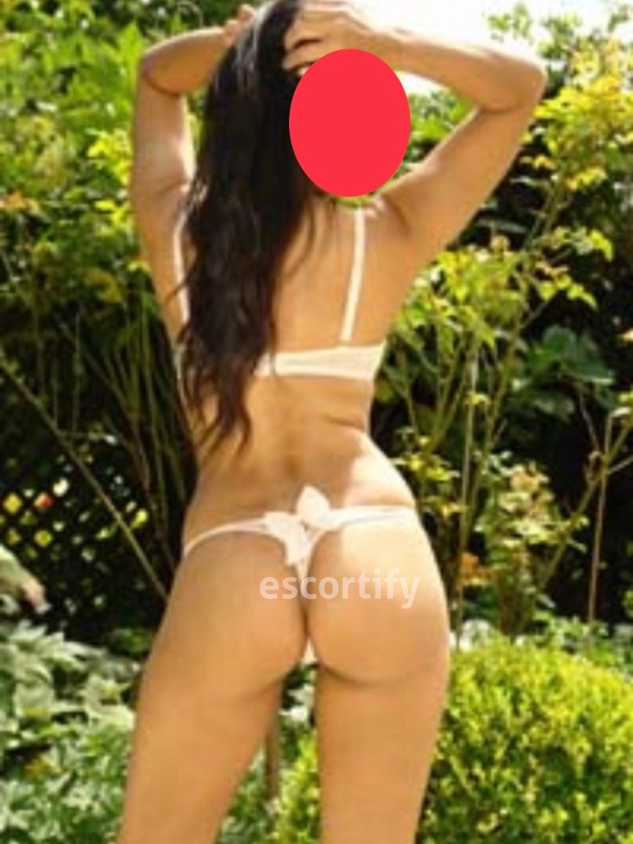 Sexy Candi is Female Escorts. | Wellington | New Zealand | New Zeland | scarletamour.com 