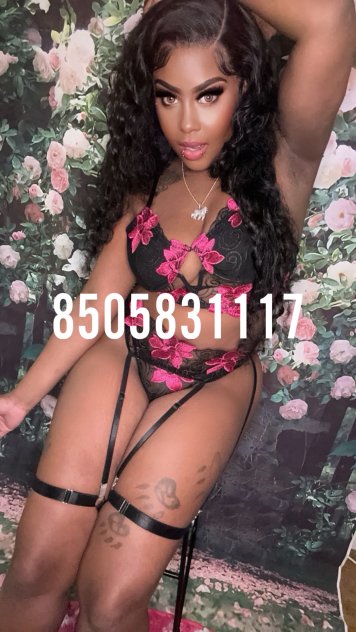  is Female Escorts. | Lake Charles | Louisiana | United States | scarletamour.com 