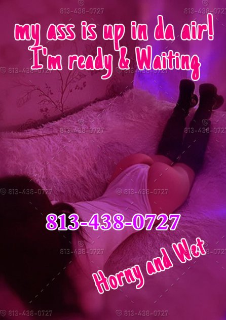  is Female Escorts. | Dallas | Texas | United States | scarletamour.com 