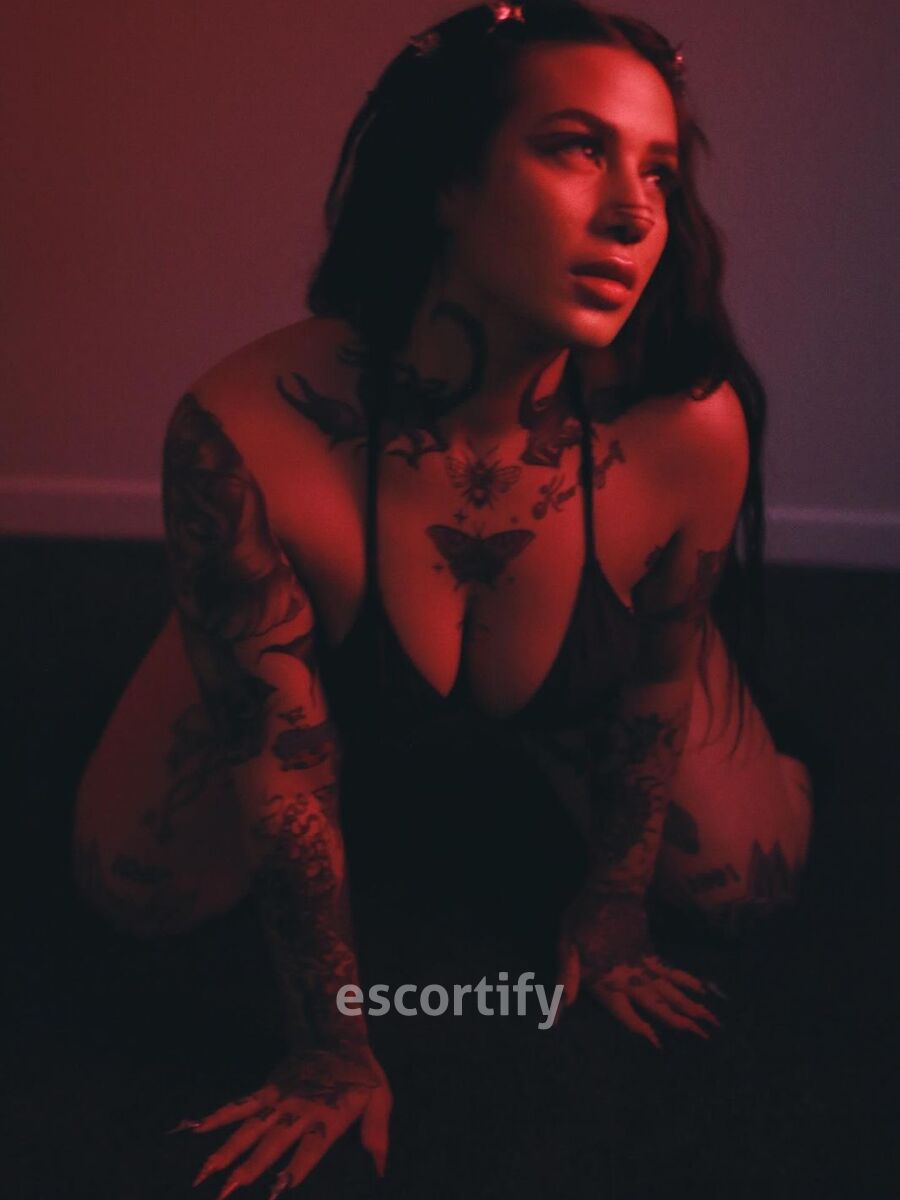 Riley is Female Escorts. | Wellington | New Zealand | New Zeland | scarletamour.com 