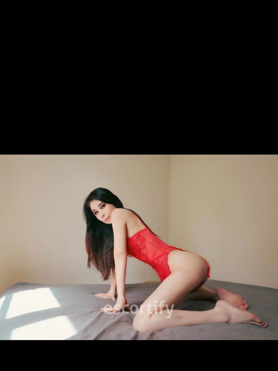 liya is Female Escorts. | Christchurch | New Zealand | New Zeland | scarletamour.com 