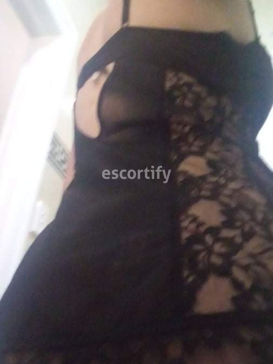 Charli cxc is Female Escorts. | Hamilton | New Zealand | New Zeland | scarletamour.com 