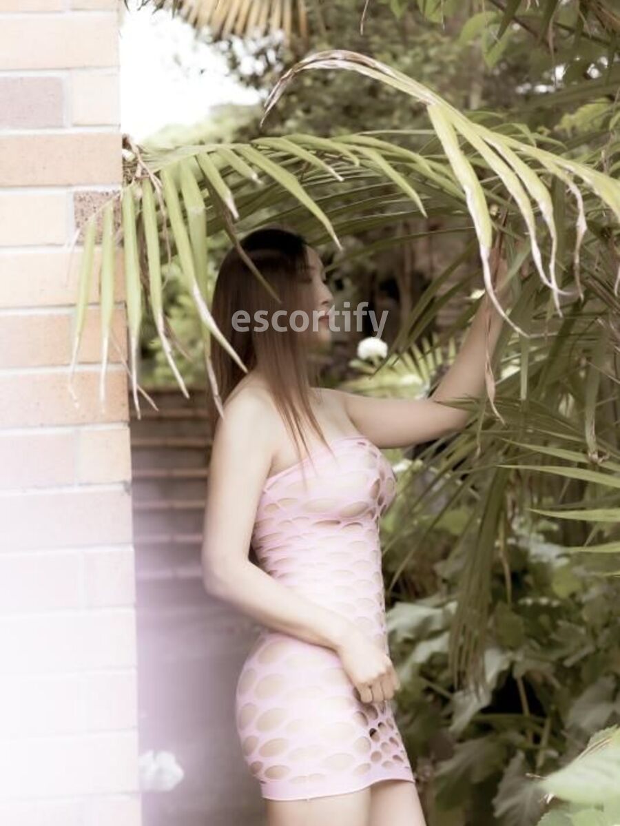 lily is Female Escorts. | Wellington | New Zealand | New Zeland | scarletamour.com 