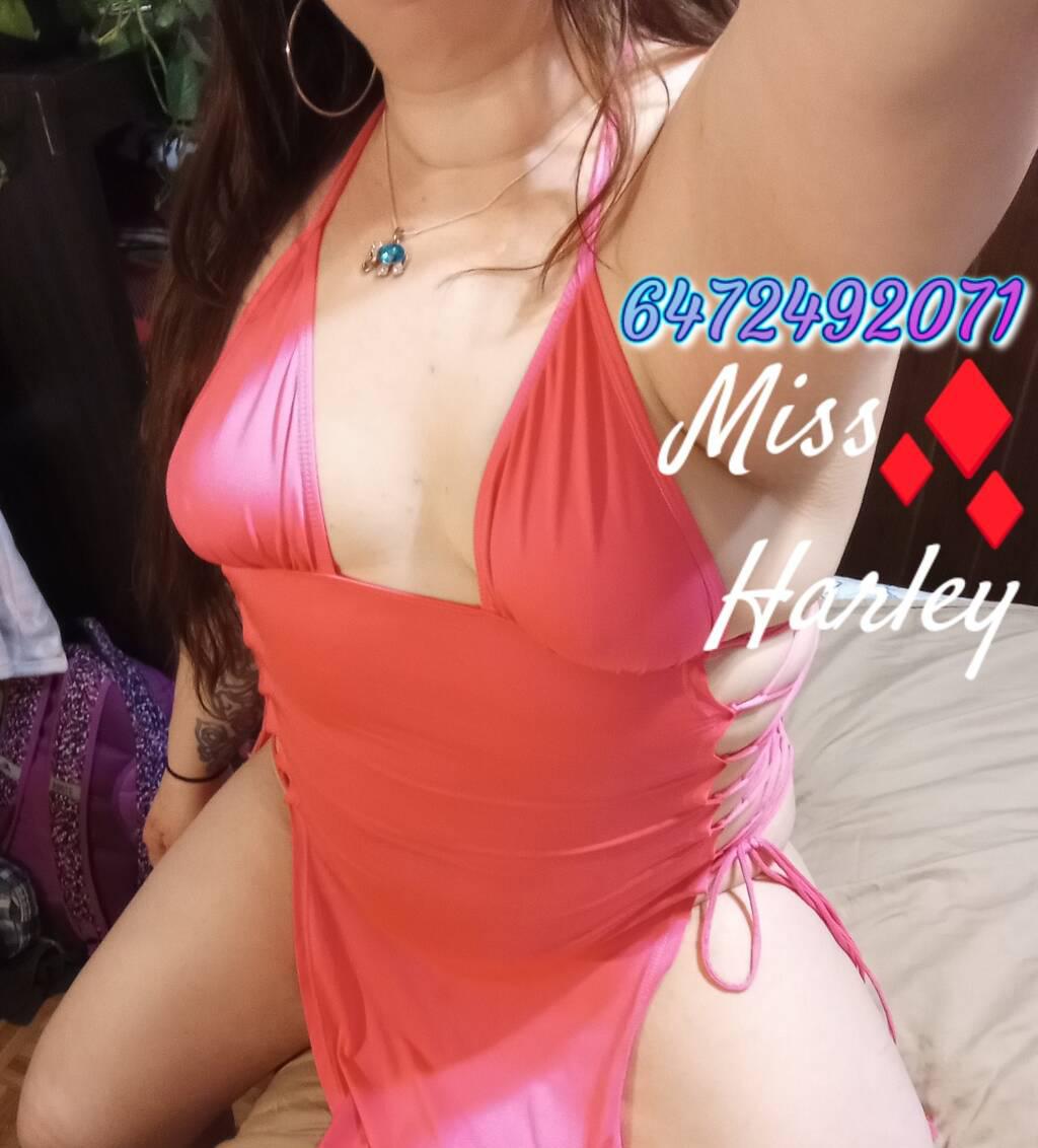 Miss Harley~PLS Read AD is Female Escorts. | Barrie | Ontario | Canada | scarletamour.com 