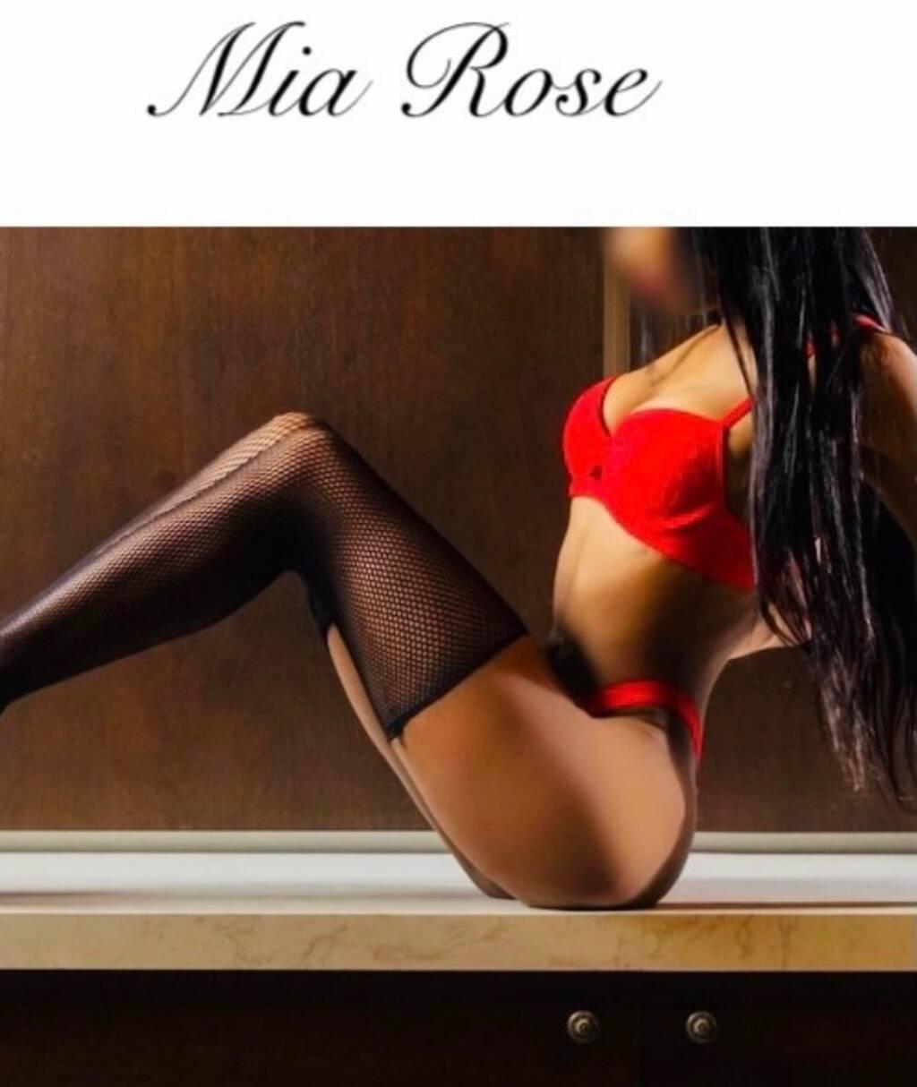 Mia Rose is Female Escorts. | Kingston | Ontario | Canada | scarletamour.com 