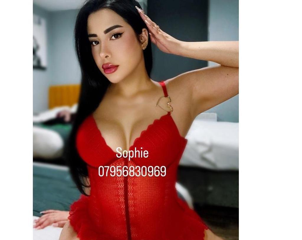  is Female Escorts. | Newcastle | United Kingdom | United Kingdom | scarletamour.com 