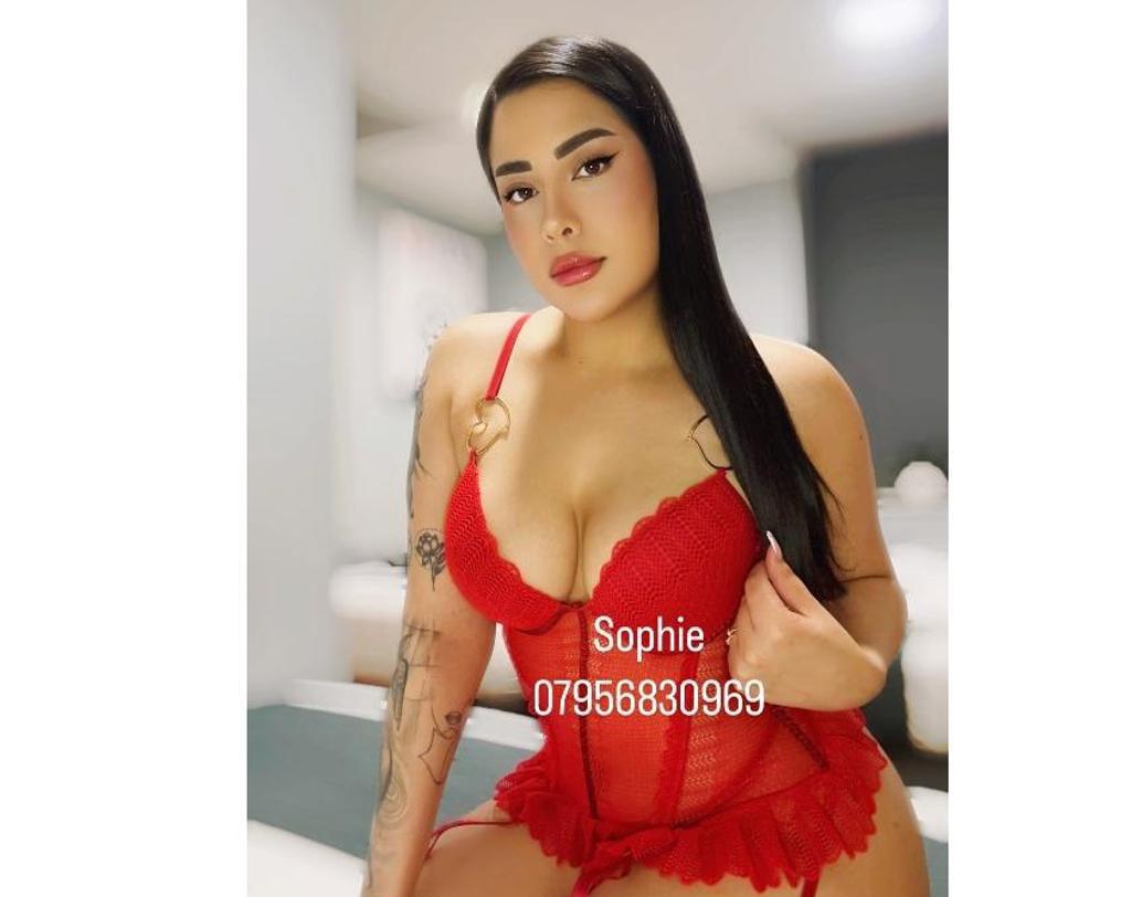  is Female Escorts. | Newcastle | United Kingdom | United Kingdom | scarletamour.com 