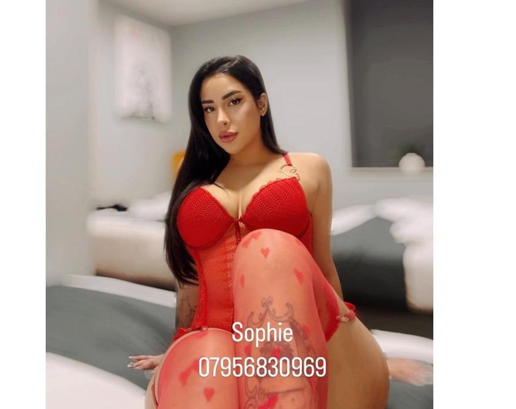  is Female Escorts. | Newcastle | United Kingdom | United Kingdom | scarletamour.com 