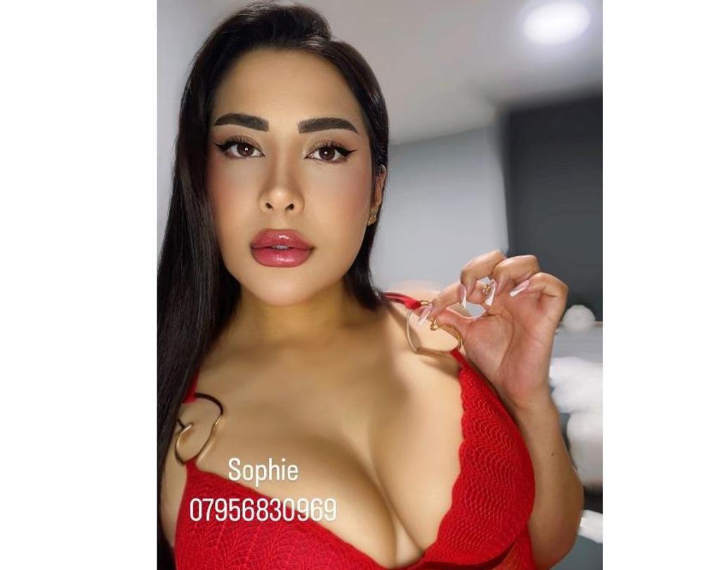  is Female Escorts. | Newcastle | United Kingdom | United Kingdom | scarletamour.com 