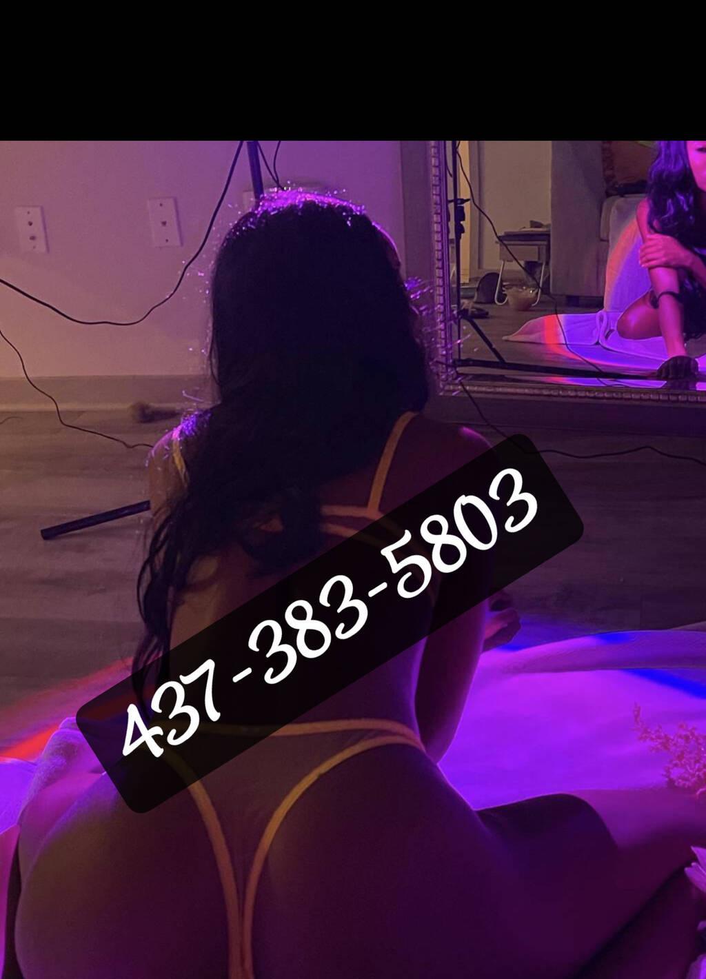 Hazel is Female Escorts. | Kitchener | Ontario | Canada | scarletamour.com 