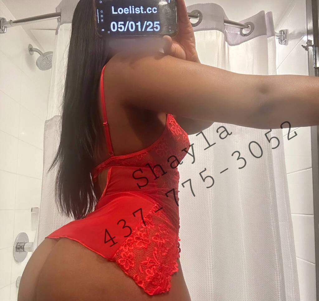 Shayla is Female Escorts. | Toronto | Ontario | Canada | scarletamour.com 