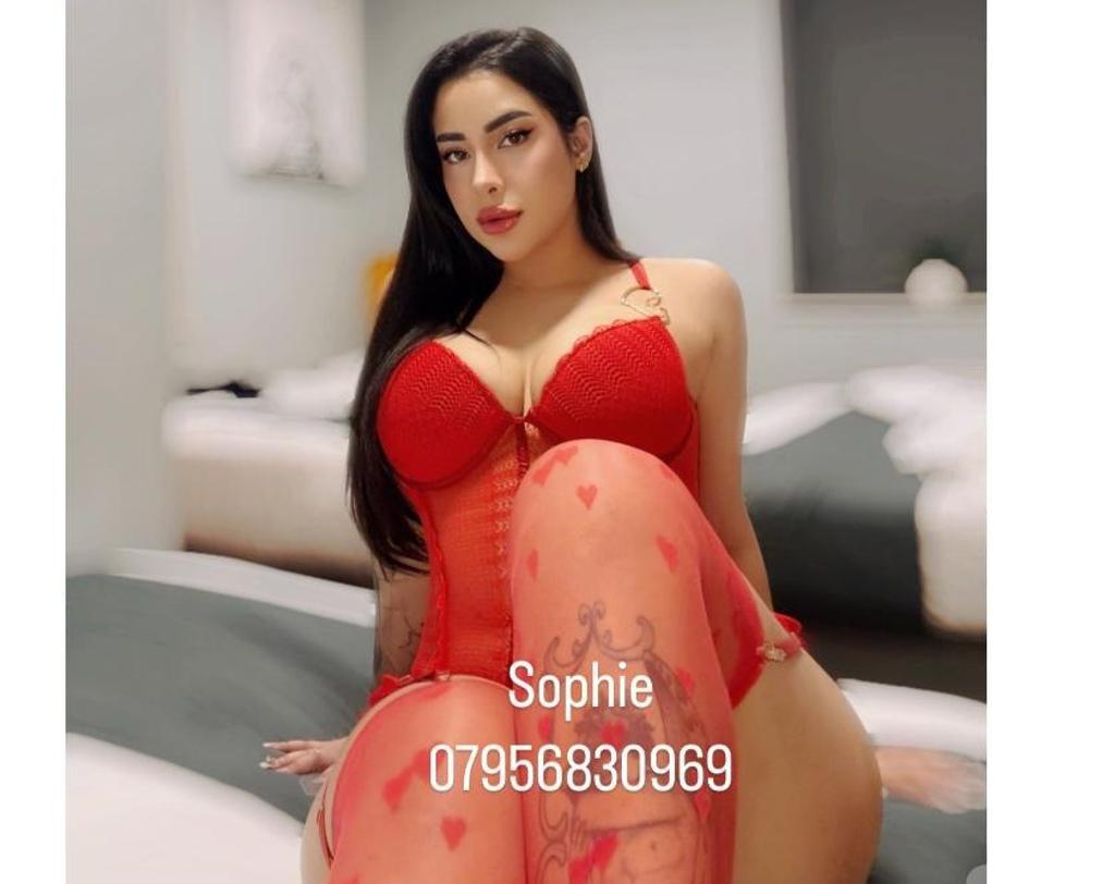  is Female Escorts. | Manchester | United Kingdom | United Kingdom | scarletamour.com 