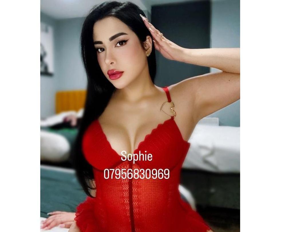  is Female Escorts. | Manchester | United Kingdom | United Kingdom | scarletamour.com 