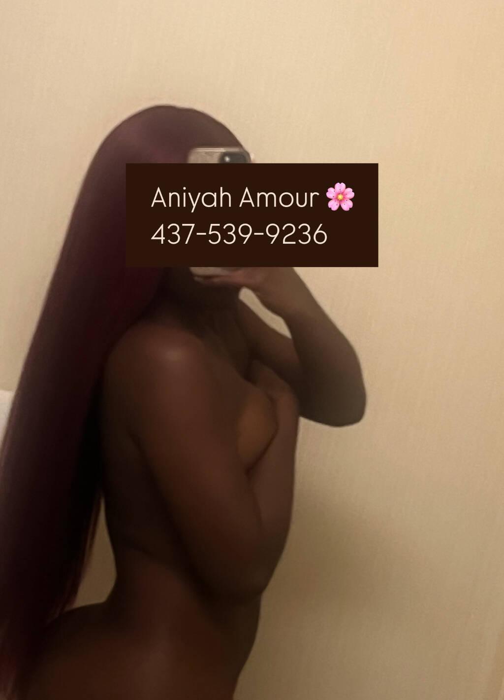 
                        Aniyah
                     is Female Escorts. | Toronto | Ontario | Canada | scarletamour.com 