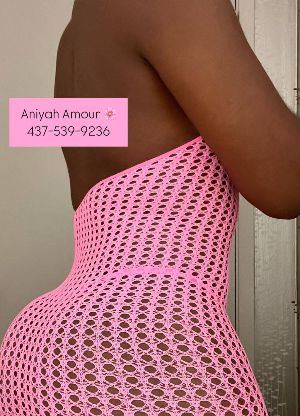 
                        Aniyah
                     is Female Escorts. | Toronto | Ontario | Canada | scarletamour.com 