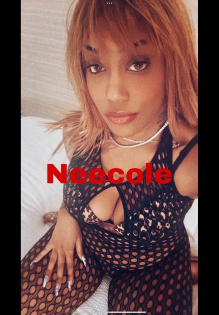  is Female Escorts. | Frederick | Maryland | United States | scarletamour.com 