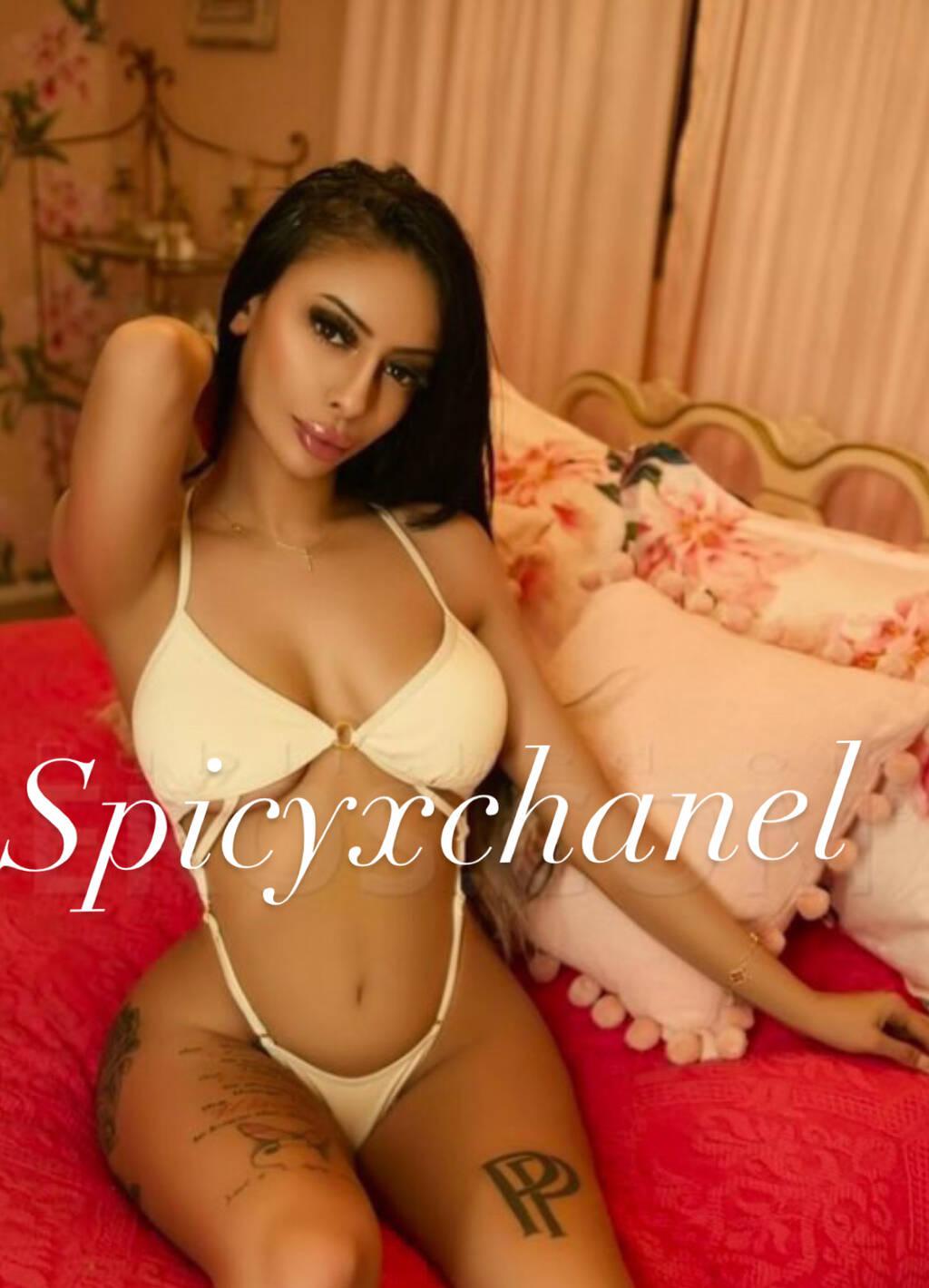 
                        Celine Calvino
                     is Female Escorts. | Barrie | Ontario | Canada | scarletamour.com 
