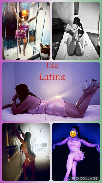  is Female Escorts. | Charlotte | North Carolina | United States | scarletamour.com 