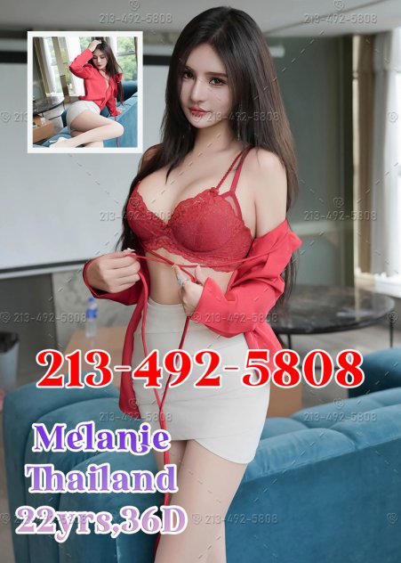  is Female Escorts. | Philadelphia | Pennsylvania | United States | scarletamour.com 