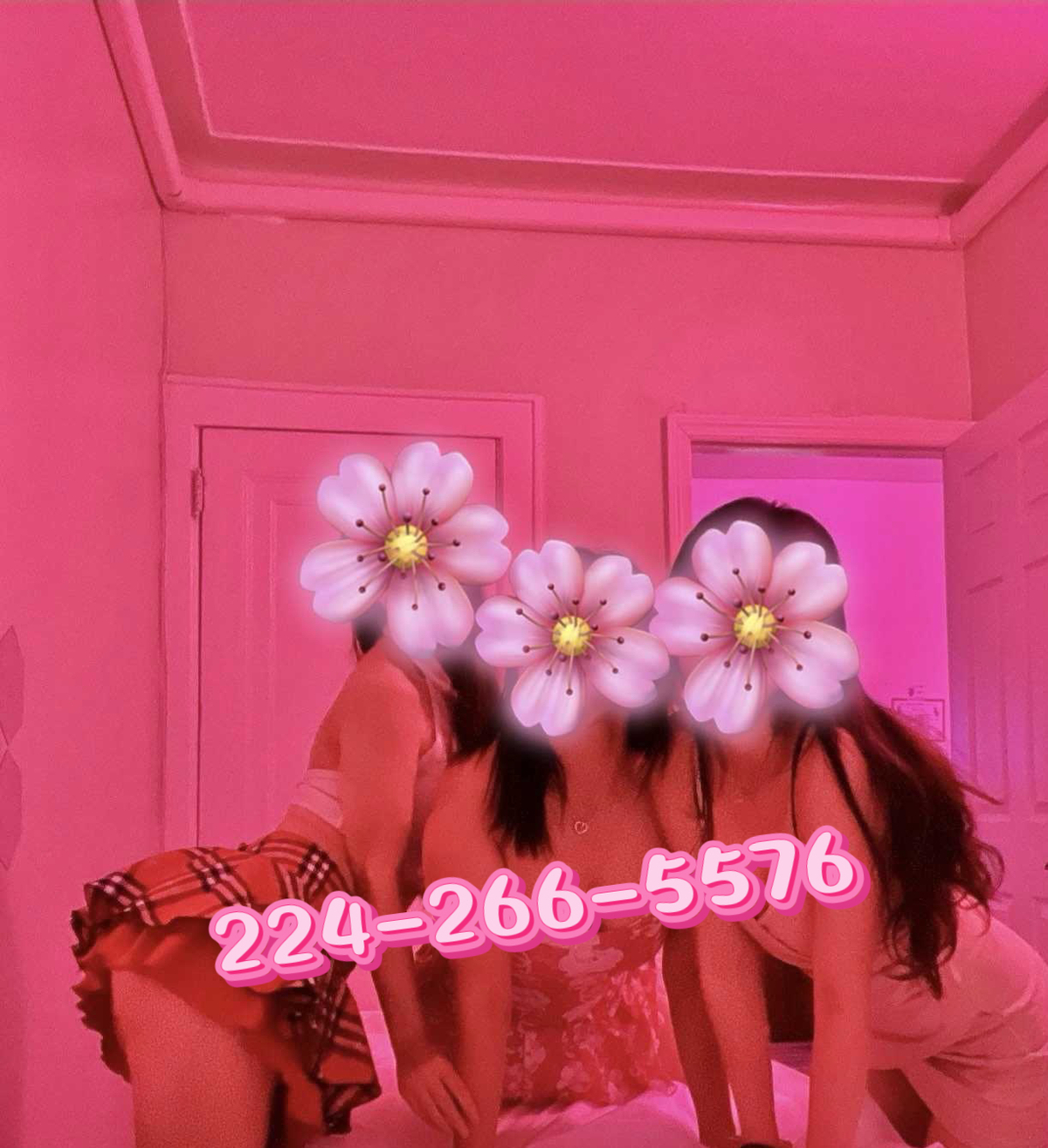  is Female Escorts. | Chicago Falls | Illinois | United States | scarletamour.com 