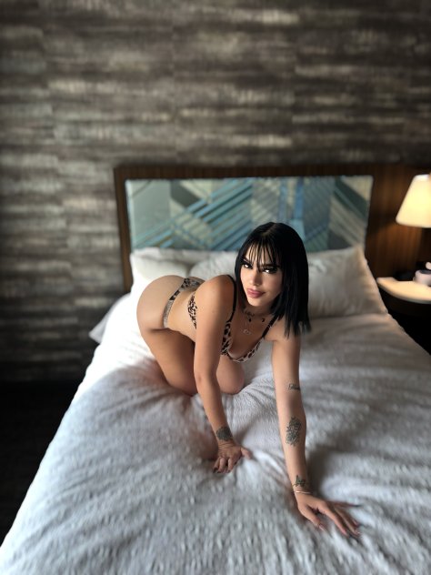  is Female Escorts. | Boston | Massachusetts | United States | scarletamour.com 