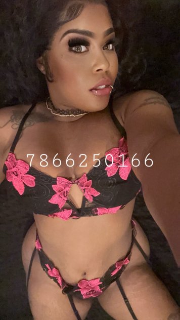  is Female Escorts. | Tallahassee | Florida | United States | scarletamour.com 